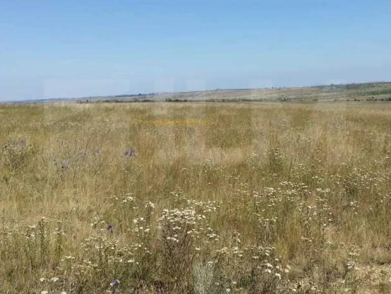 Саратовская обл., Саратовский р-н,  с. Сторожовка Саратовская обл., Саратовский р-н,  с. Сторожовка на продажу