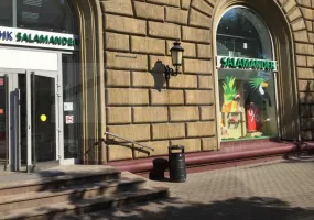 Аренда street retail помещения