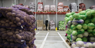 На Урале начинают строительство мультитемпературного комплекса для АПК