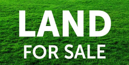 ILM займется участком промышленного назначения в 8,3 га