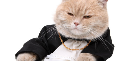 Как изменение курса валют повлияет на стоимость аренды?