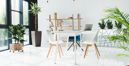 Москвичи обустраиваются в офисах