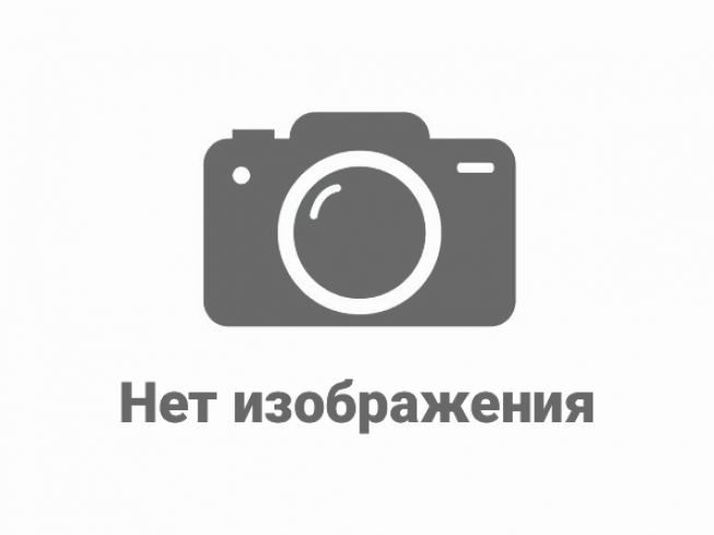 Лесная 10 Фото