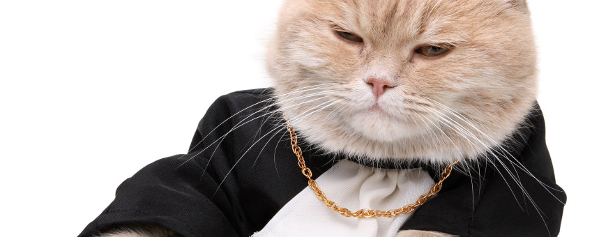 Как изменение курса валют повлияет на стоимость аренды?