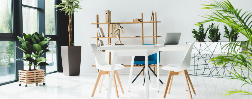 Москвичи обустраиваются в офисах