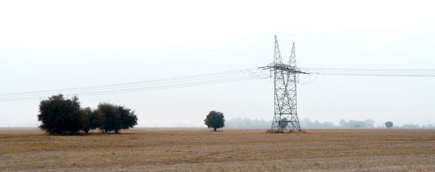 Мэрия подъезжает к Красной Пахре