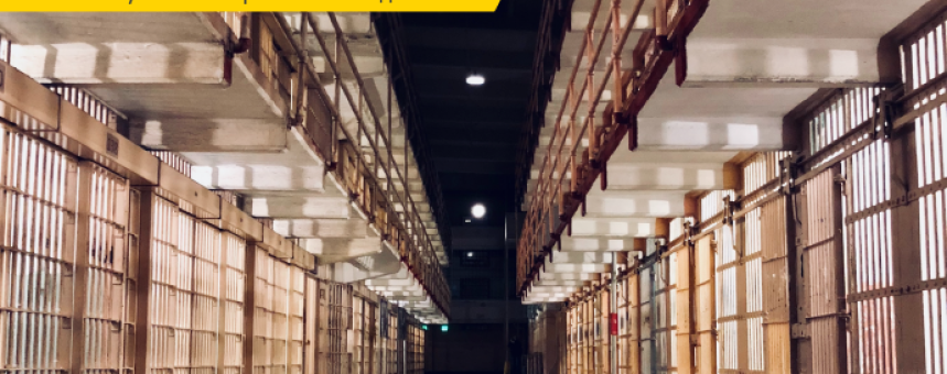 Логопарк своими руками